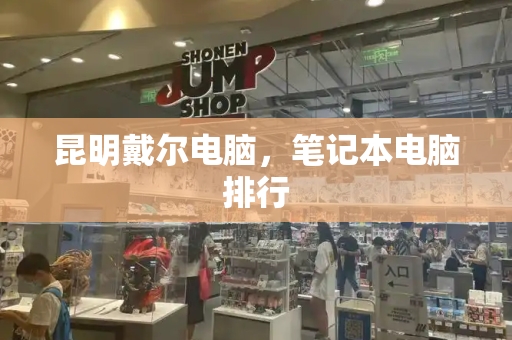 昆明戴尔电脑，笔记本电脑排行-第1张图片-星选测评