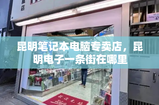 昆明笔记本电脑专卖店，昆明电子一条街在哪里-第1张图片-星选测评