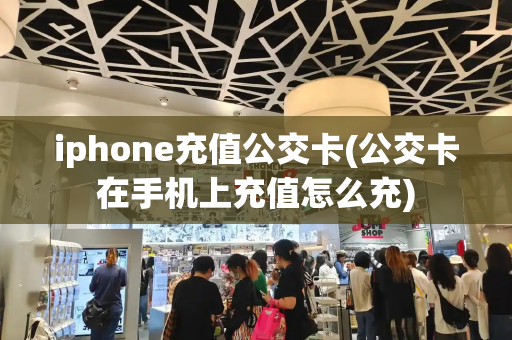 iphone充值公交卡(公交卡在手机上充值怎么充)