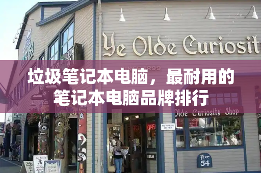 垃圾笔记本电脑，最耐用的笔记本电脑品牌排行-第1张图片-星选测评