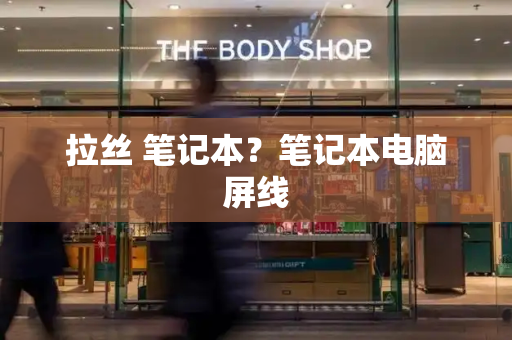 拉丝 笔记本？笔记本电脑屏线-第1张图片-星选测评