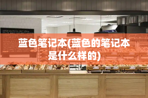 蓝色笔记本(蓝色的笔记本是什么样的)