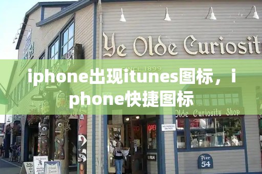iphone出现itunes图标，iphone快捷图标