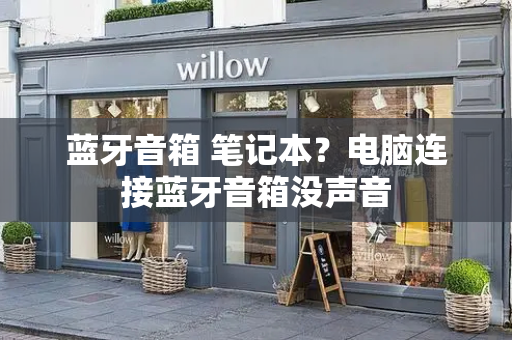 蓝牙音箱 笔记本？电脑连接蓝牙音箱没声音-第1张图片-星选测评