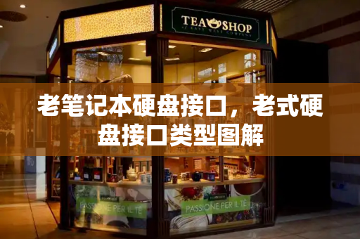 老笔记本硬盘接口，老式硬盘接口类型图解-第1张图片-星选测评