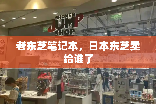 老东芝笔记本，日本东芝卖给谁了-第1张图片-星选测评