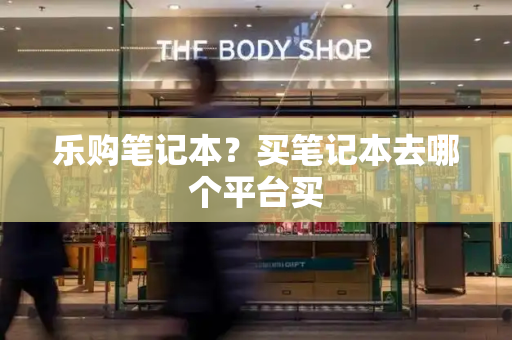 乐购笔记本？买笔记本去哪个平台买-第1张图片-星选测评