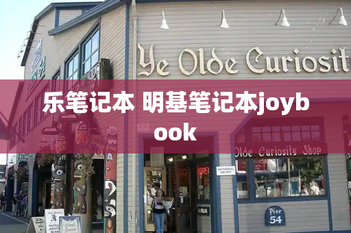 乐笔记本 明基笔记本joybook
