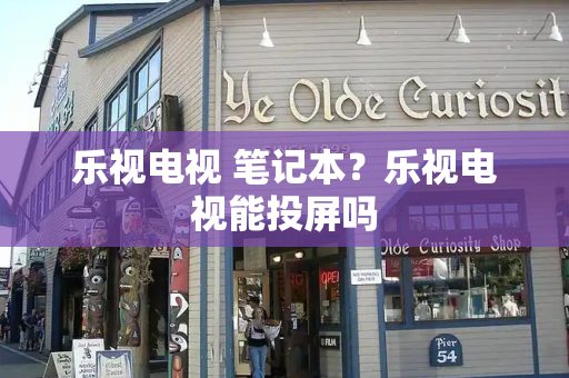 乐视电视 笔记本？乐视电视能投屏吗
