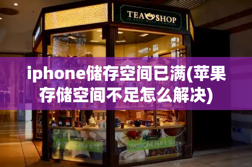 iphone储存空间已满(苹果存储空间不足怎么解决)