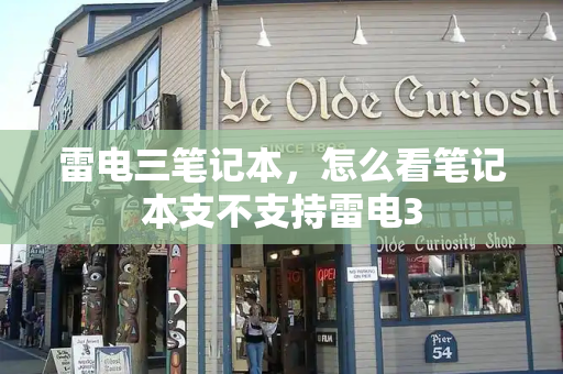 雷电三笔记本，怎么看笔记本支不支持雷电3-第1张图片-星选测评