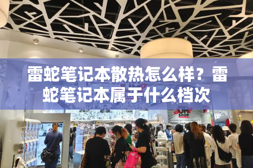 雷蛇笔记本散热怎么样？雷蛇笔记本属于什么档次-第1张图片-星选测评