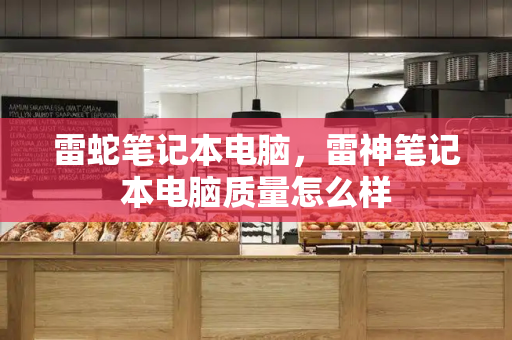 雷蛇笔记本电脑，雷神笔记本电脑质量怎么样-第1张图片-星选测评