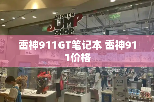 雷神911GT笔记本 雷神911价格-第1张图片-星选测评