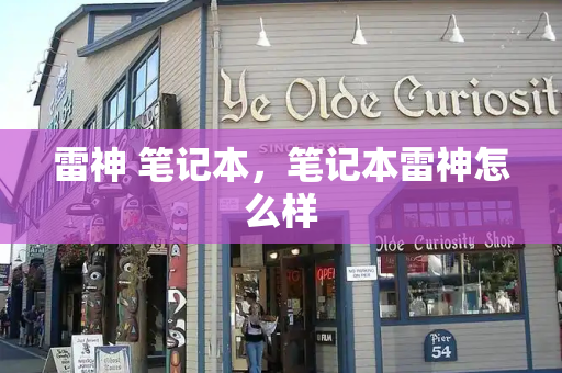 雷神 笔记本，笔记本雷神怎么样-第1张图片-星选测评