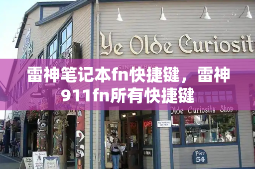 雷神笔记本fn快捷键，雷神911fn所有快捷键-第1张图片-星选测评