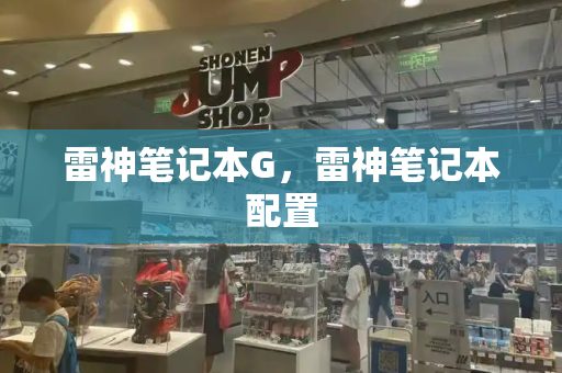 雷神笔记本G，雷神笔记本配置-第1张图片-星选测评