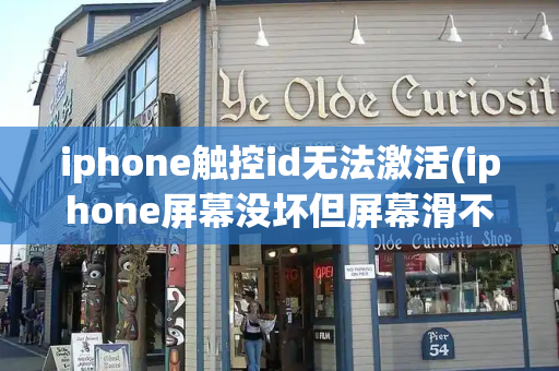 iphone触控id无法激活(iphone屏幕没坏但屏幕滑不动)
