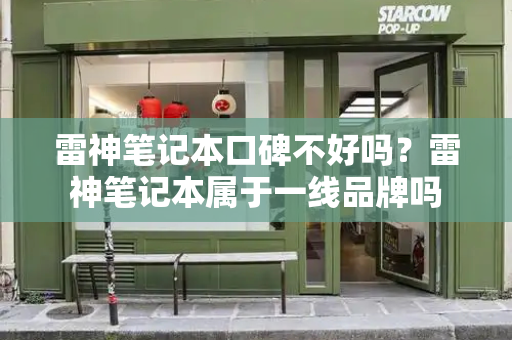 雷神笔记本口碑不好吗？雷神笔记本属于一线品牌吗-第1张图片-星选测评