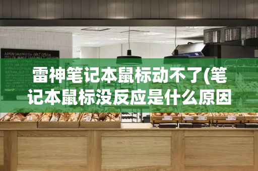 雷神笔记本鼠标动不了(笔记本鼠标没反应是什么原因)-第1张图片-星选测评
