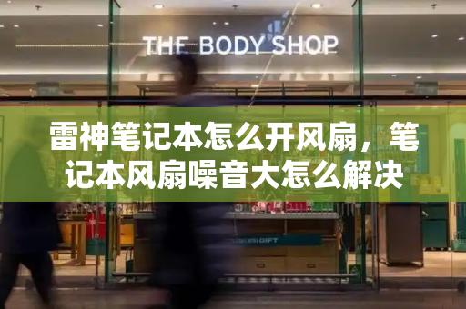 雷神笔记本怎么开风扇，笔记本风扇噪音大怎么解决-第1张图片-星选测评