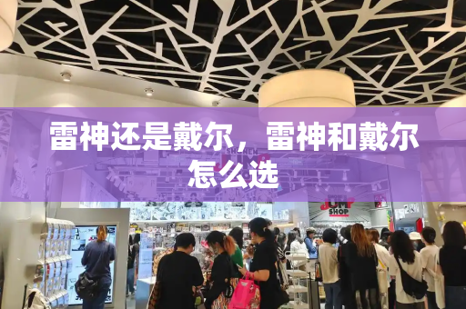 雷神还是戴尔，雷神和戴尔怎么选-第1张图片-星选测评