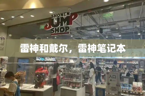 雷神和戴尔，雷神笔记本-第1张图片-星选测评