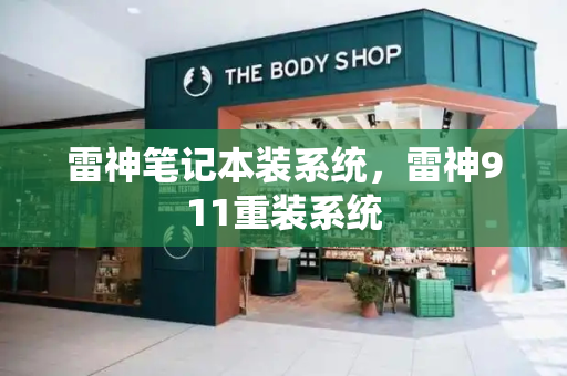 雷神笔记本装系统，雷神911重装系统-第1张图片-星选测评