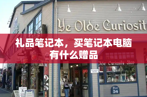 礼品笔记本，买笔记本电脑有什么赠品-第1张图片-星选测评