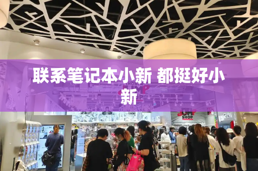 联系笔记本小新 都挺好小新-第1张图片-星选测评