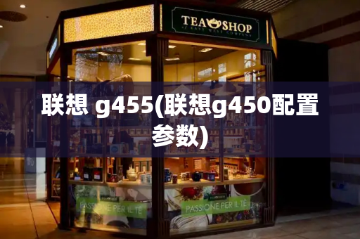 联想 g455(联想g450配置参数)-第1张图片-星选测评