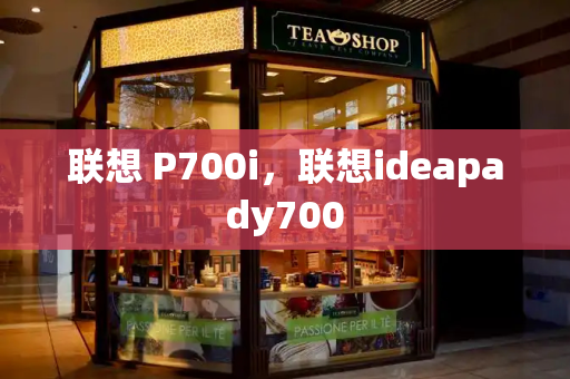 联想 P700i，联想ideapady700-第1张图片-星选测评