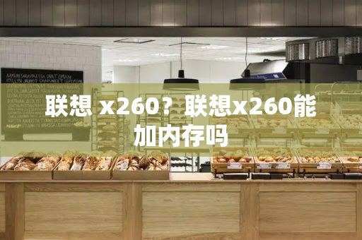 联想 x260？联想x260能加内存吗-第1张图片-星选测评