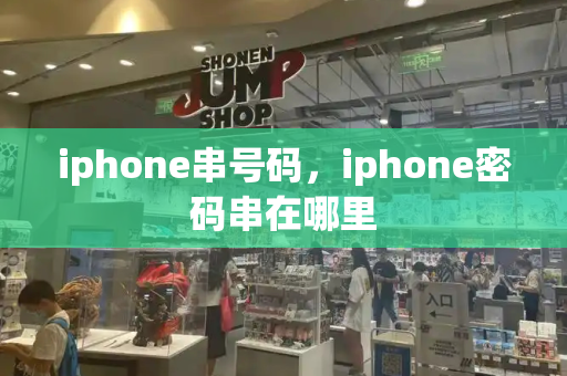 iphone串号码，iphone密码串在哪里