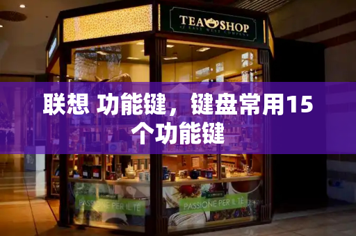 联想 功能键，键盘常用15个功能键-第1张图片-星选测评