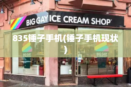 835锤子手机(锤子手机现状)-第1张图片-星选测评
