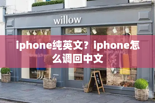 iphone纯英文？iphone怎么调回中文-第1张图片-星选测评
