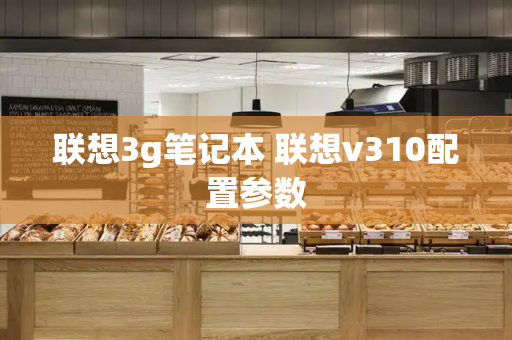联想3g笔记本 联想v310配置参数