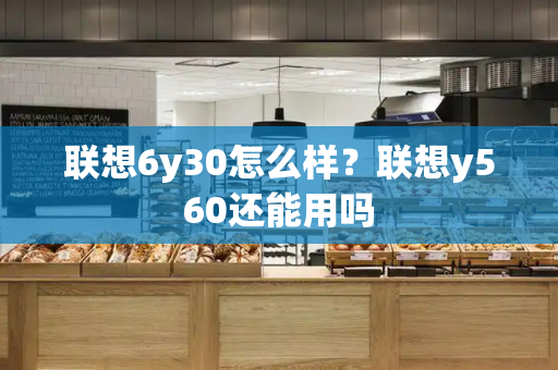 联想6y30怎么样？联想y560还能用吗-第1张图片-星选测评