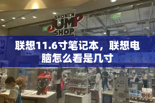 联想11.6寸笔记本，联想电脑怎么看是几寸-第1张图片-星选测评