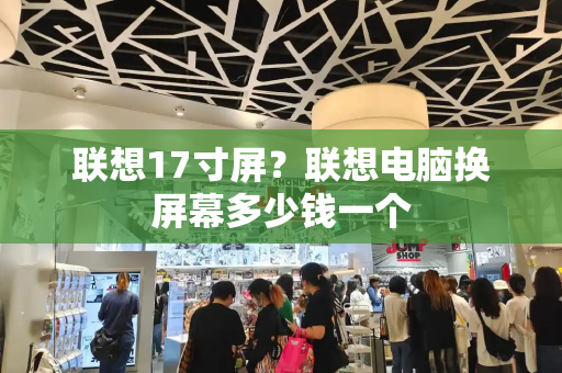 联想17寸屏？联想电脑换屏幕多少钱一个-第1张图片-星选测评