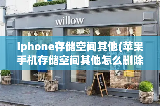iphone存储空间其他(苹果手机存储空间其他怎么删除)