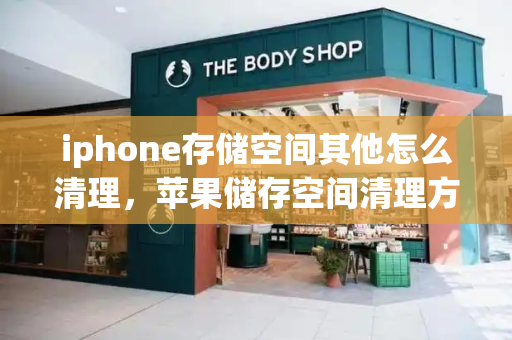 iphone存储空间其他怎么清理，苹果储存空间清理方法