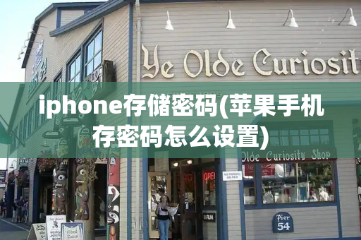 iphone存储密码(苹果手机存密码怎么设置)