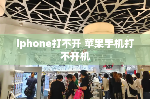 iphone打不开 苹果手机打不开机-第1张图片-星选测评