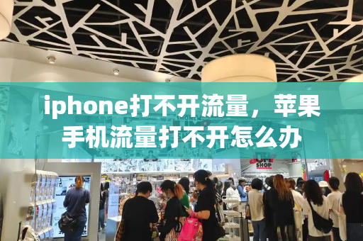 iphone打不开流量，苹果手机流量打不开怎么办