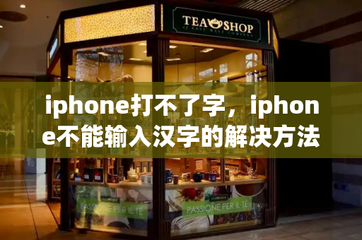 iphone打不了字，iphone不能输入汉字的解决方法-第1张图片-星选测评