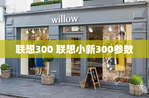 联想300 联想小新300参数