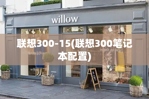 联想300-15(联想300笔记本配置)