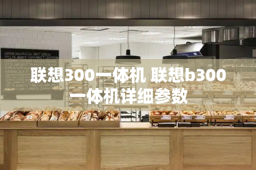 联想300一体机 联想b300一体机详细参数-第1张图片-星选测评